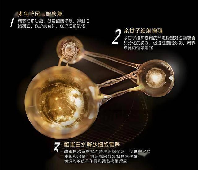 ex外汇平台官网网址《咚奇刚》或将2D与3D双线并行！蕉力全开制作人透露推动方向